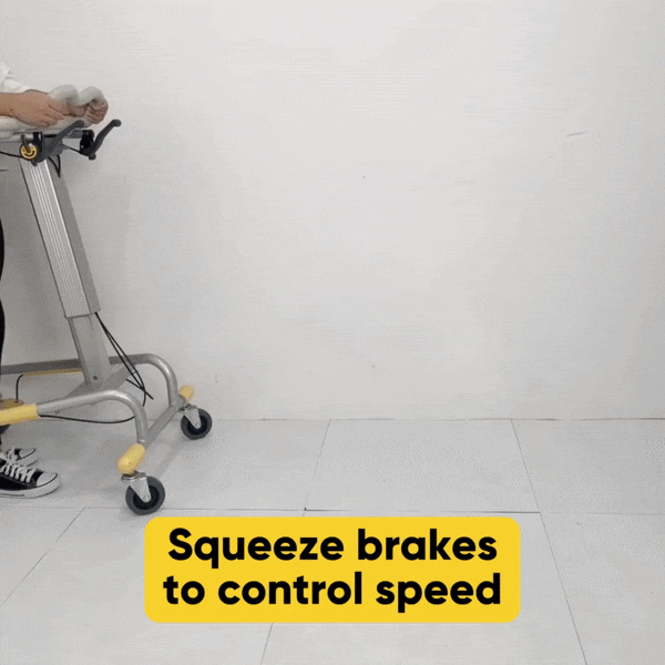 Paramount Support Walker with Brake