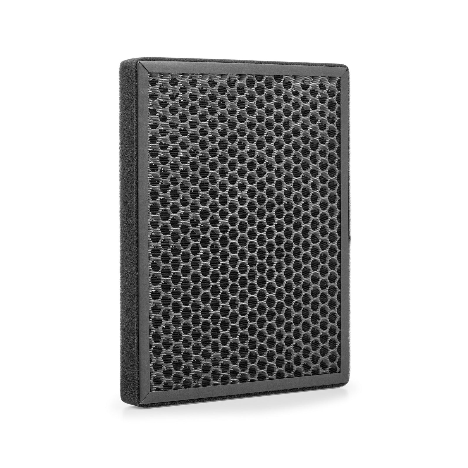 Bion A101 HEPA Filter for Air Purifier