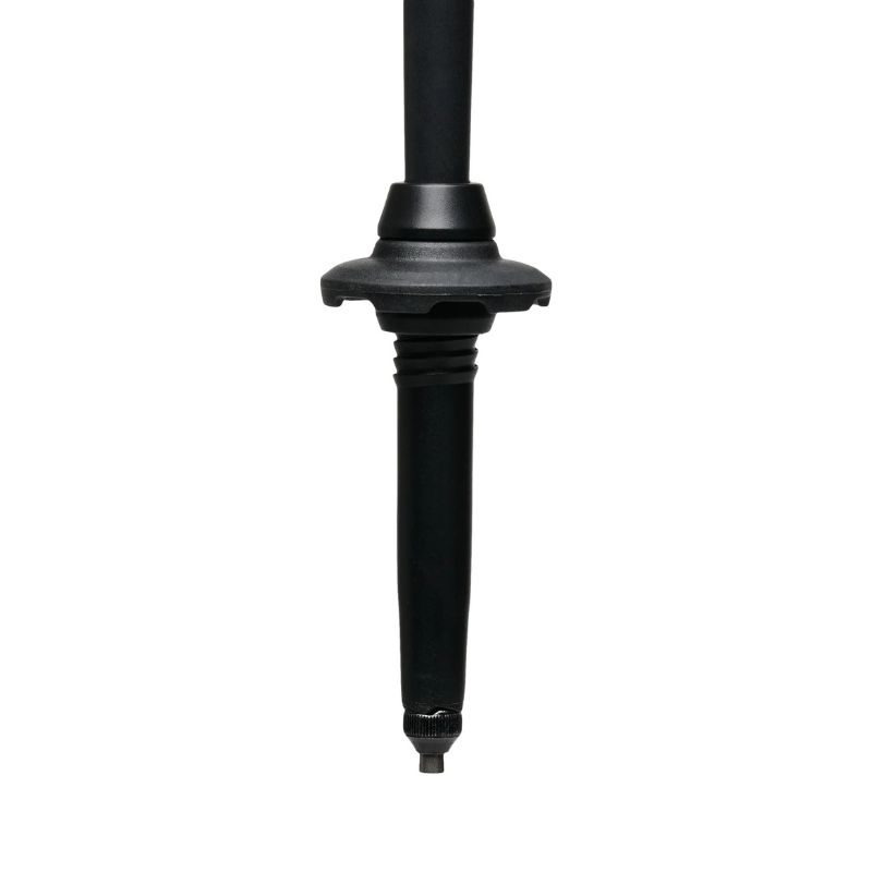 Black Diamond Alpine Carbon Cork Trekking Poles