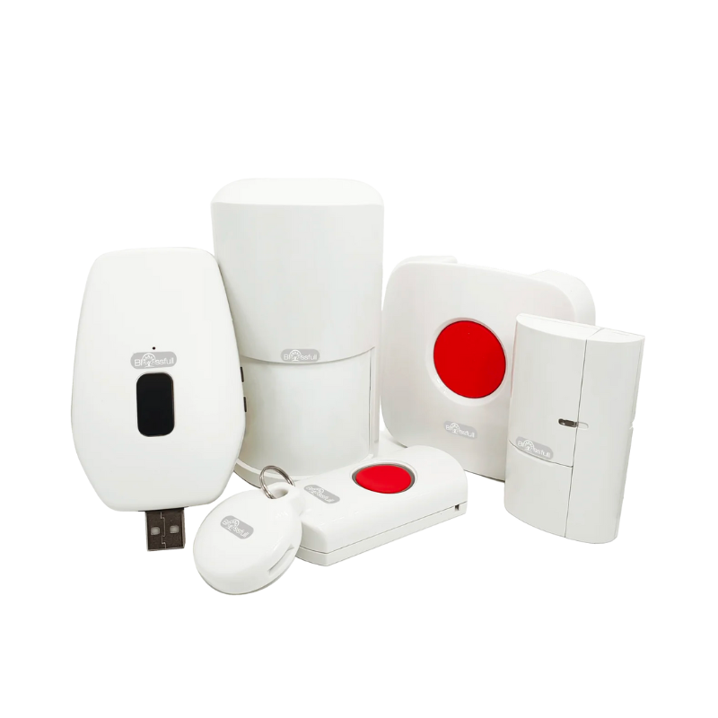 Blissfull Motion Sensor Alert System for Elderly