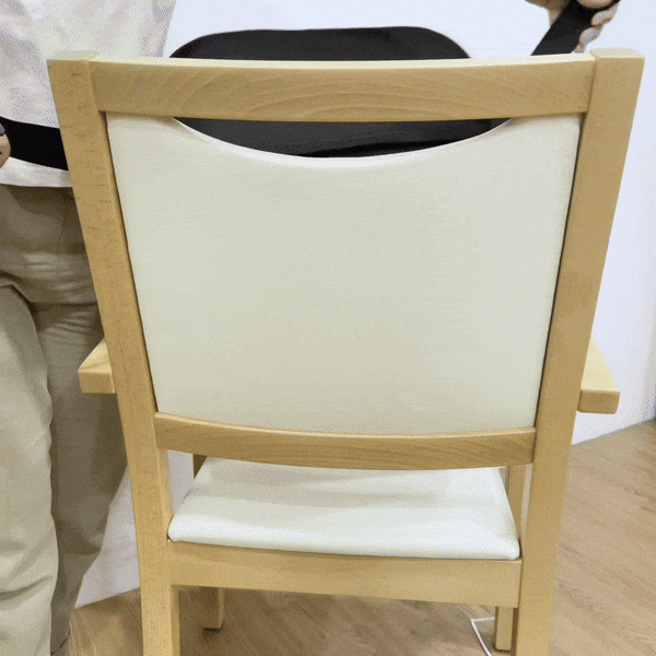 CarePlus Lumbar Back Support Cushion