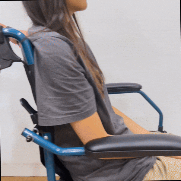 HappyWheels Travel Chair Portable Pushchair