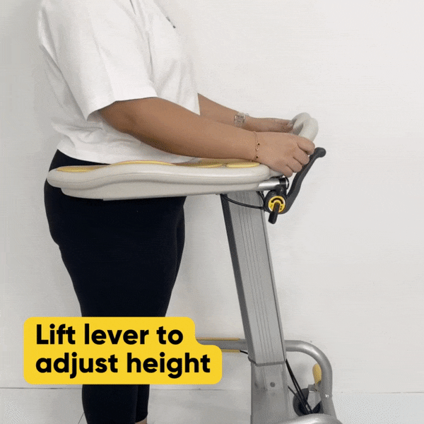 Paramount Support Walker with Brake