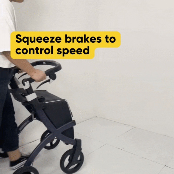 Rollz Flex Compact Lightweight Rollator