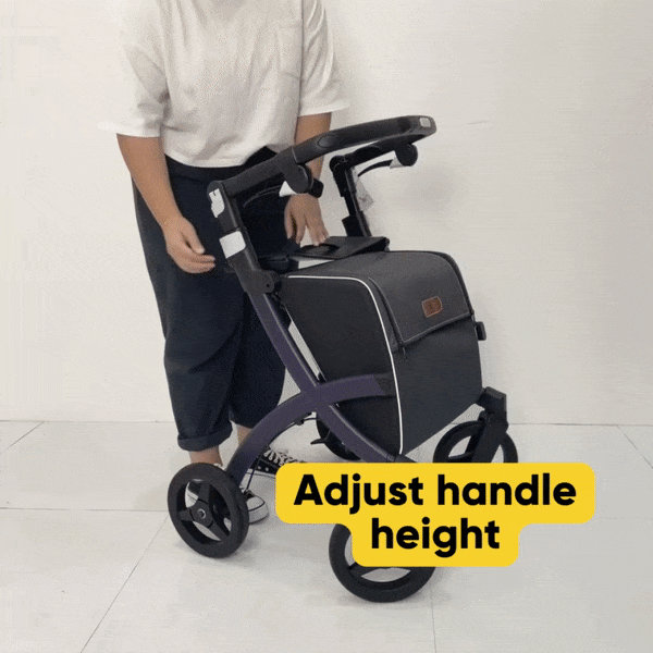 Rollz Flex Compact Lightweight Rollator