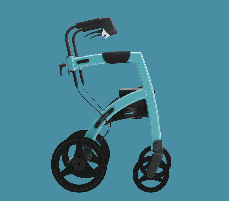 Rollz Motion 2-in-1 Rollator Pushchair