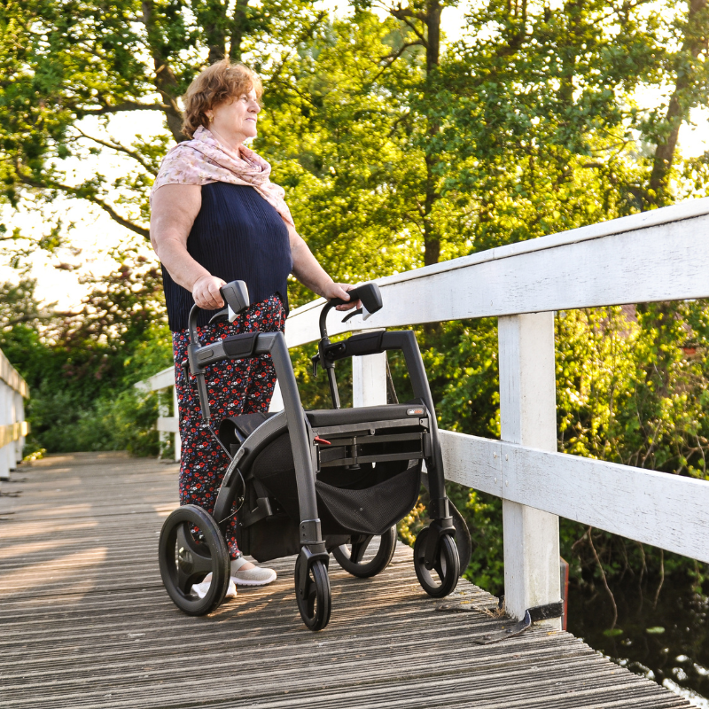 Rollz Motion Rhythm Parkinson Rollator