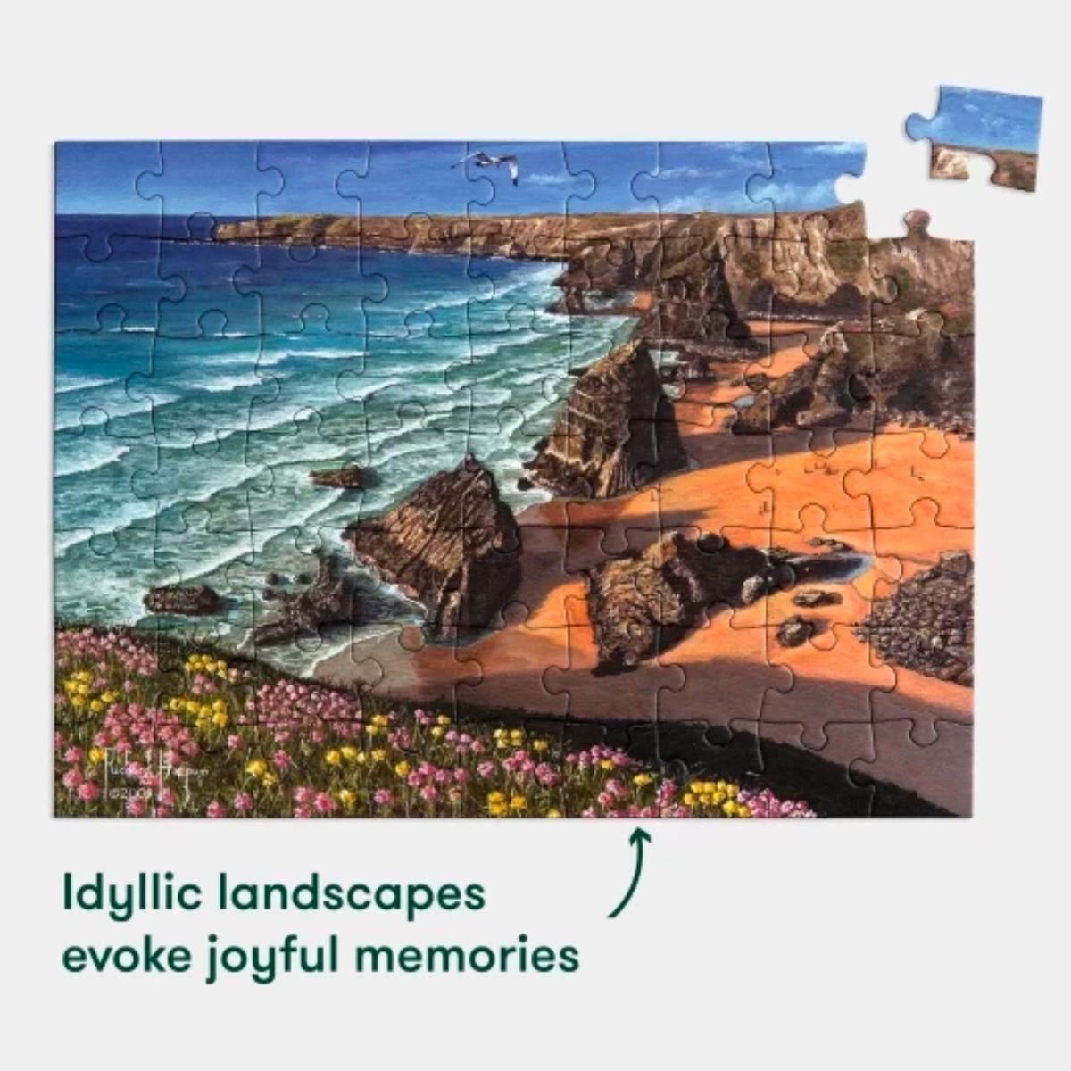 63-Piece Jigsaw Puzzle Wild Coast