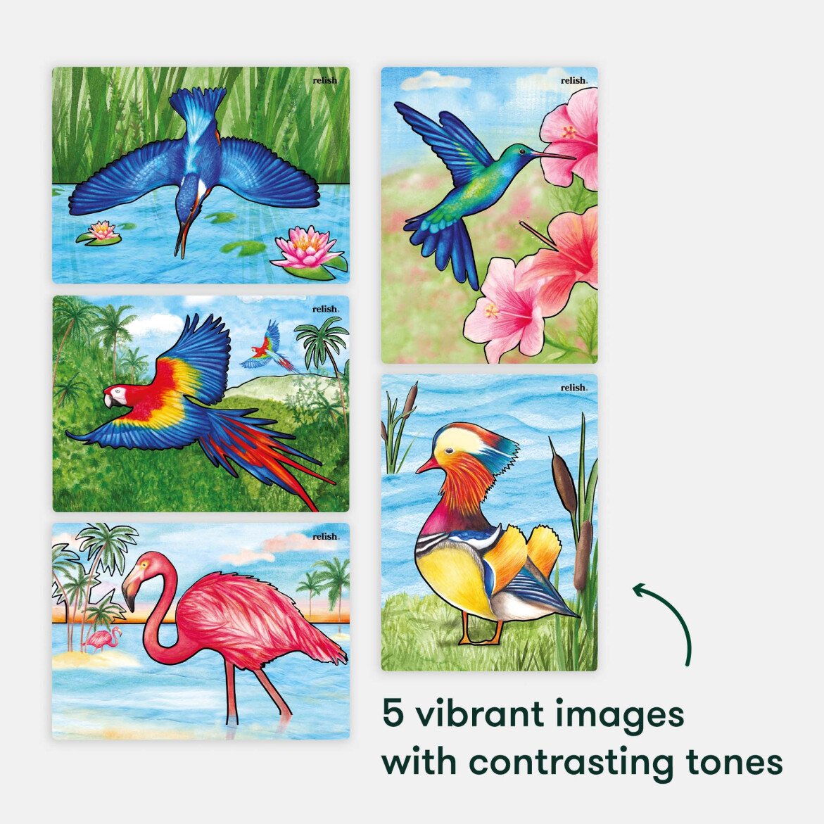 AquaPaint Dementia Activity Set (Magnificent Birds)