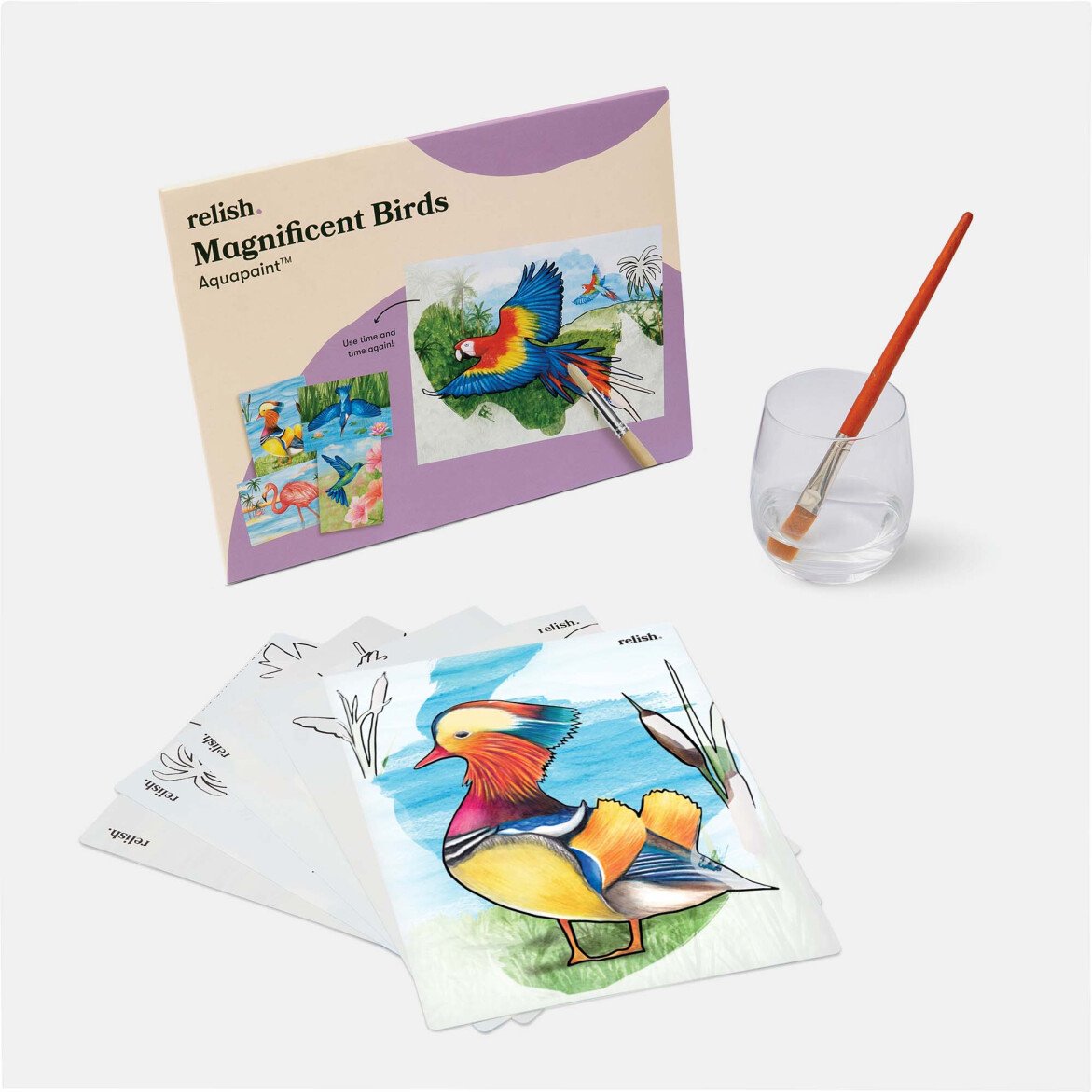 AquaPaint Dementia Activity Set (Magnificent Birds)