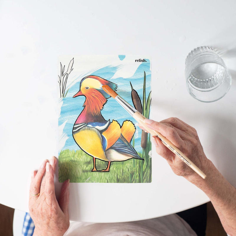 AquaPaint Dementia Activity Set (Magnificent Birds)