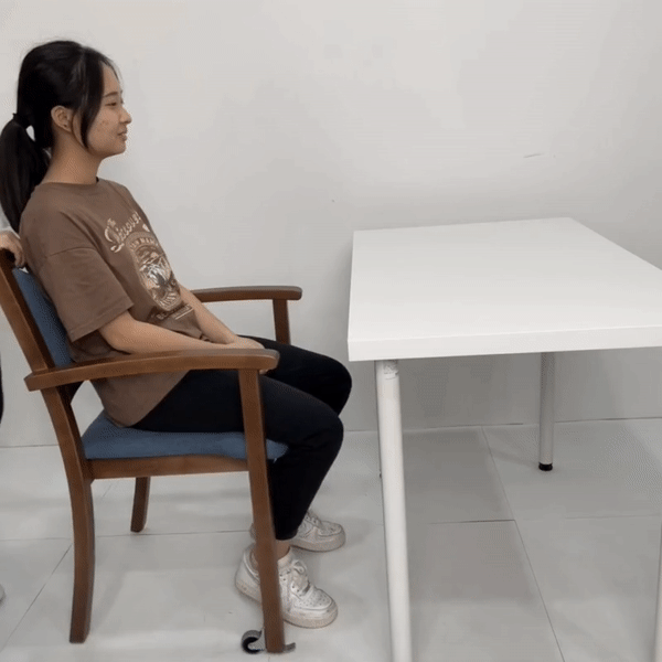 HappyHome Classic Geriatric Chair