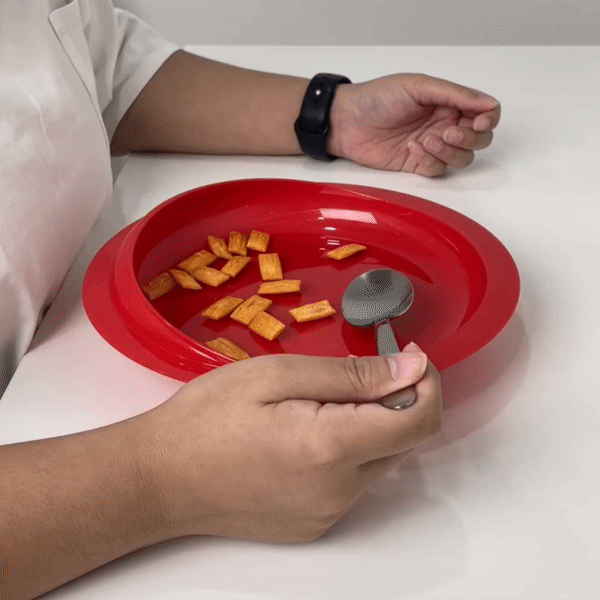 HappyHome Scoop Dish