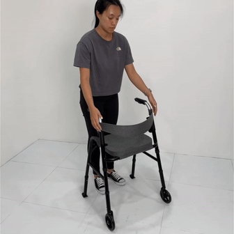 HappyWheels Travel Walker with Seat