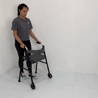 HappyWheels Travel Walker with Seat