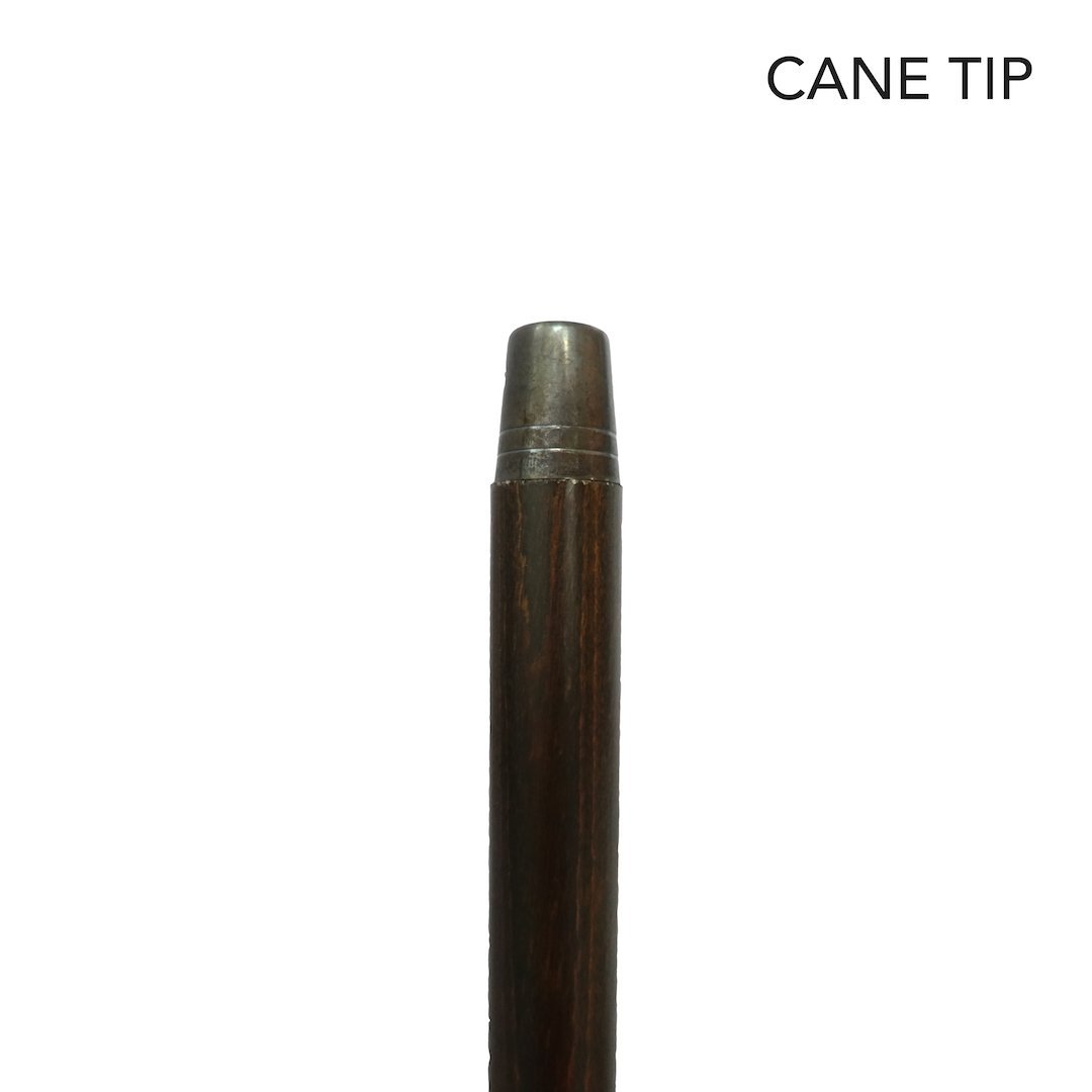 Mahogany Labrador Retriever Hardwood Cane