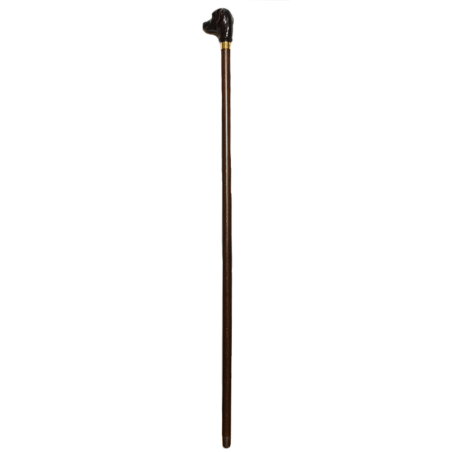 Walking Sticks, Walking Canes | The Golden Concepts