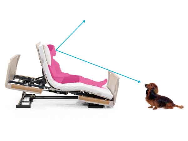 Rakusho Z Wooden Series Homecare Bed by Paramount Bed Japan