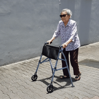 Rental - EZ Fold-N-Go Walker & Rollator