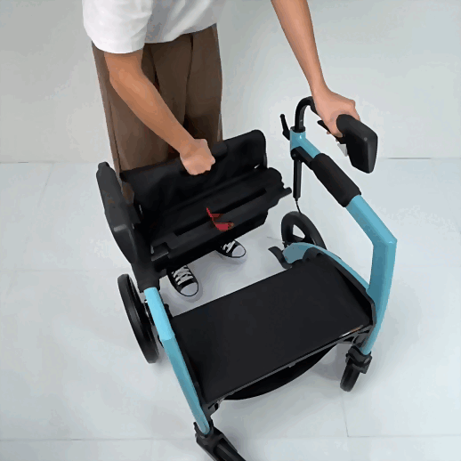 Rollz Motion 2-in-1 Rollator Pushchair