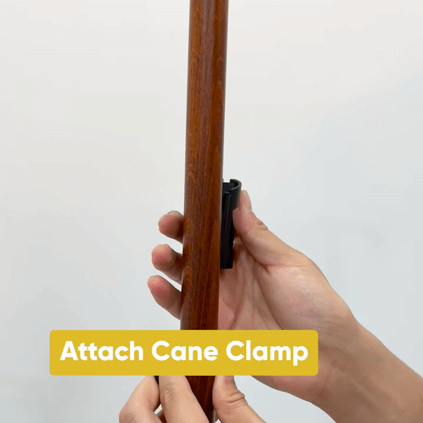 Rollz Motion 2-in-1 Rollator Pushchair