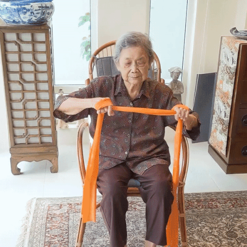 Sanctband Resistive Exercise Bands (2m)