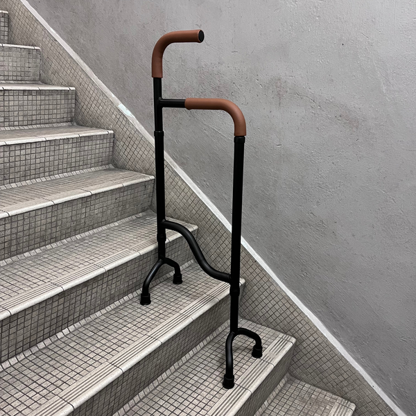 Stair Assist Cane for Elderly The Golden Concepts